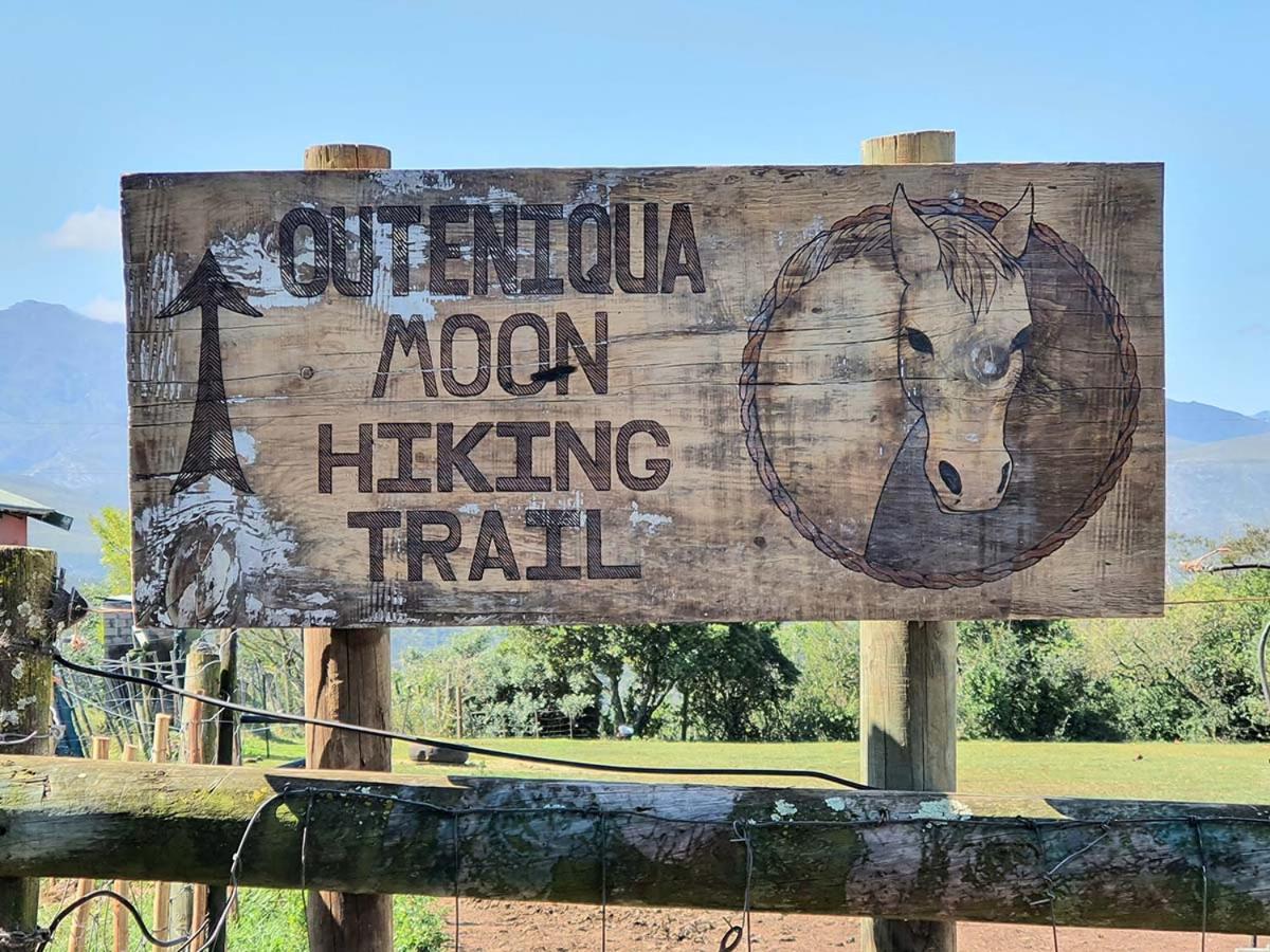 Outeniqua Moon Percheron Stud Farm Ruiterbos المظهر الخارجي الصورة