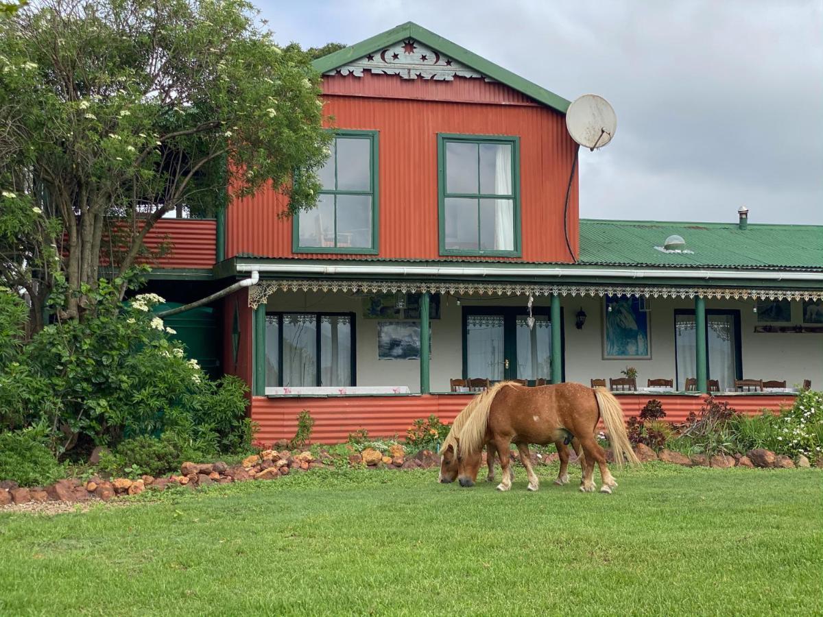 Outeniqua Moon Percheron Stud Farm Ruiterbos المظهر الخارجي الصورة