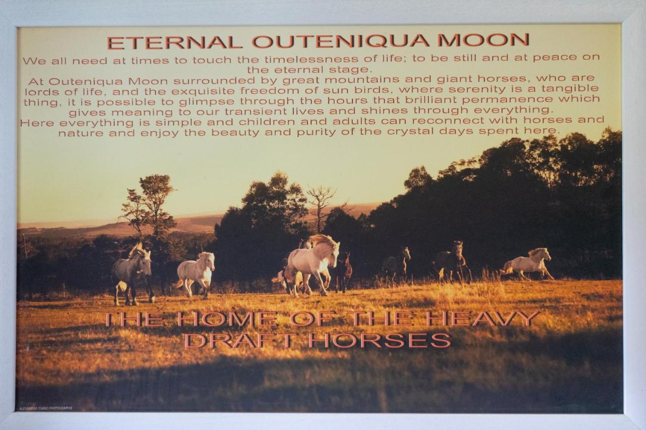 Outeniqua Moon Percheron Stud Farm Ruiterbos المظهر الخارجي الصورة