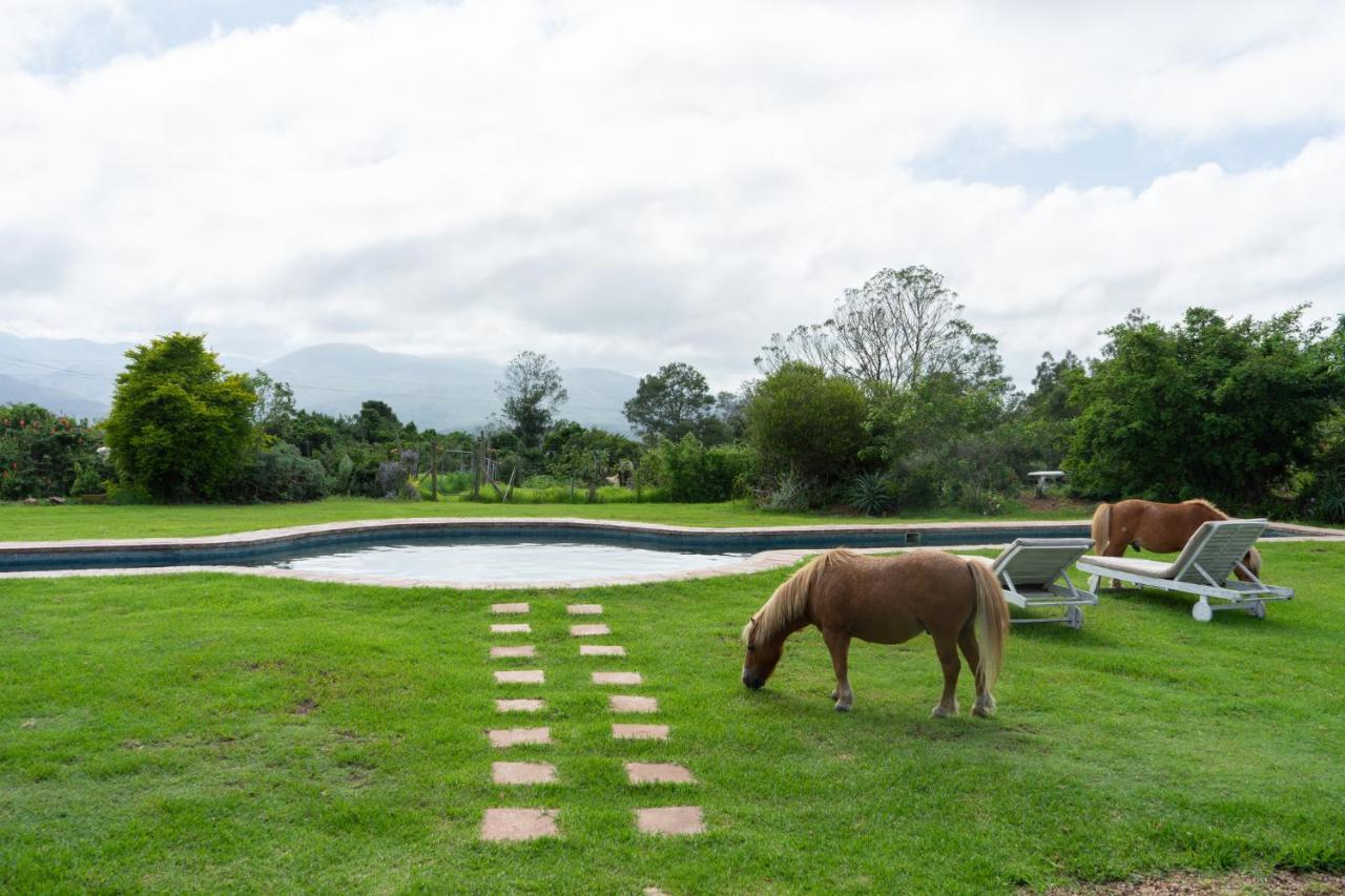 Outeniqua Moon Percheron Stud Farm Ruiterbos المظهر الخارجي الصورة